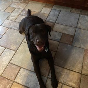 Meet your Posher, Ann